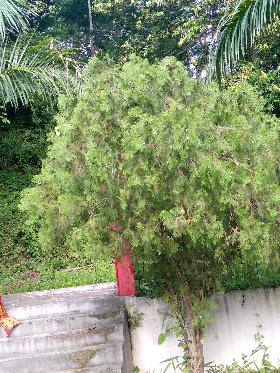 upload photo of the Nature