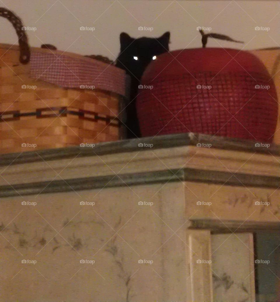 peek a boo. Mom's kitty hiding