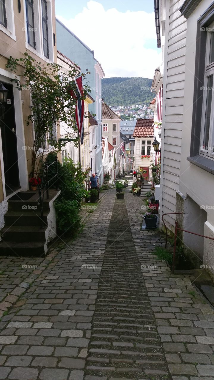 Bergen Alley