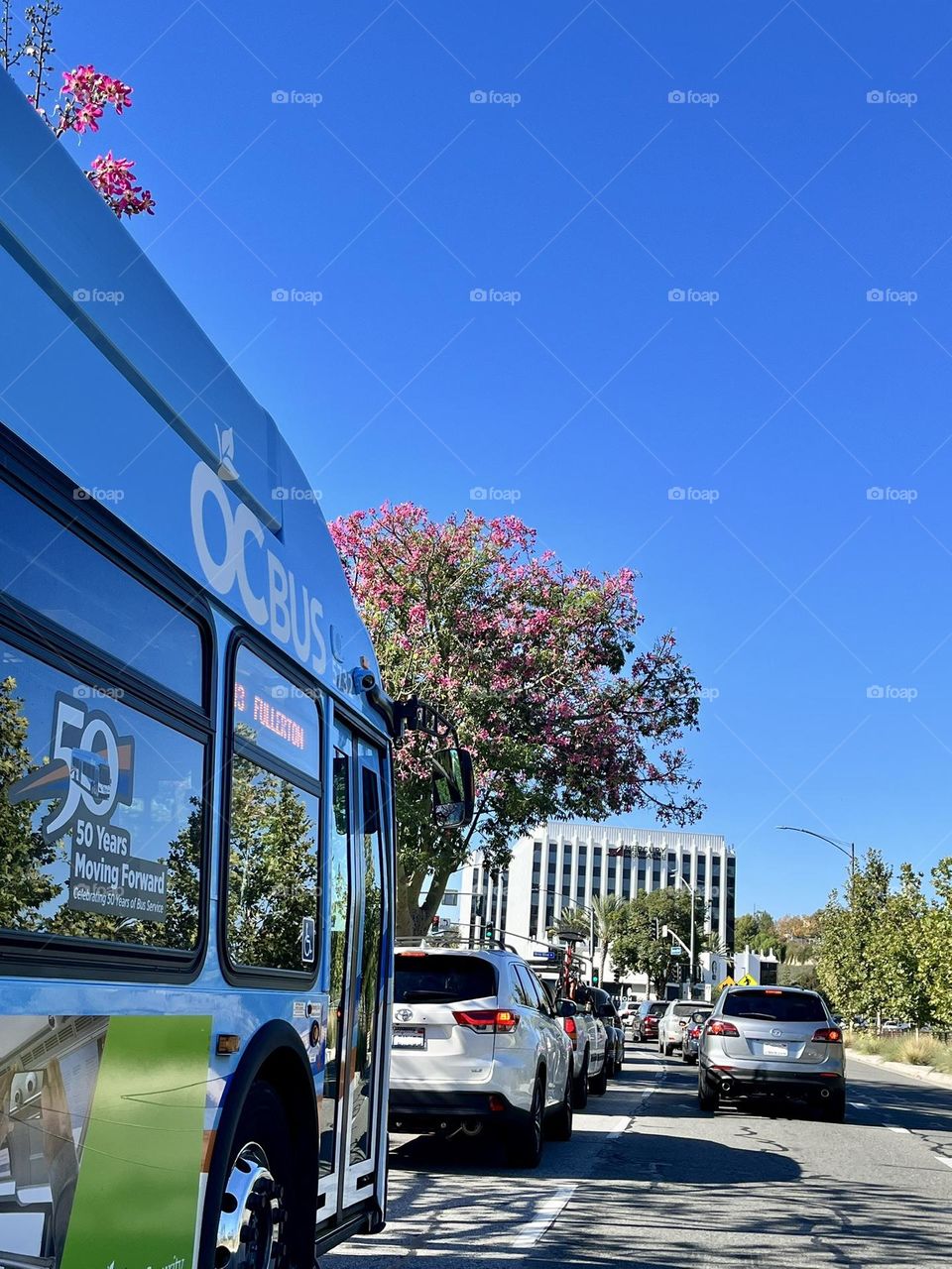 Public Transportation Bus