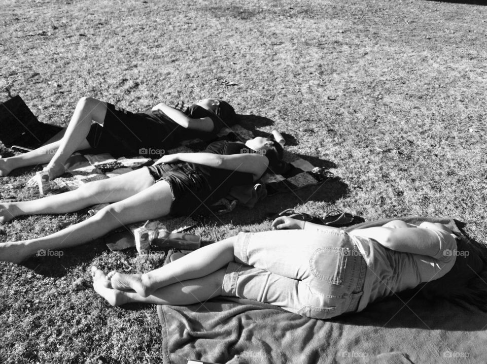 These three college students are laying in the sun, enjoying the first of the spring days as friends.