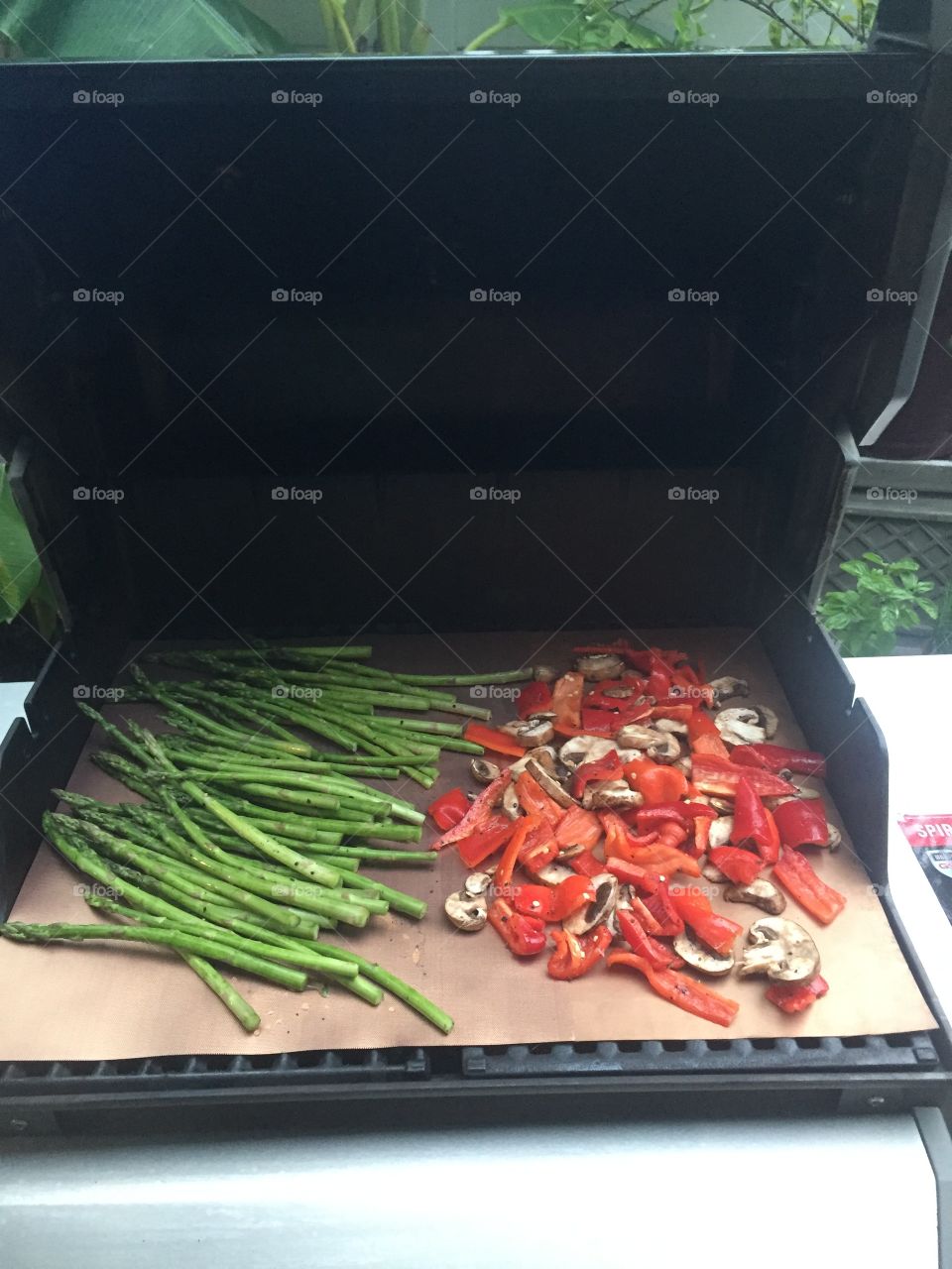 Veggies on the grill