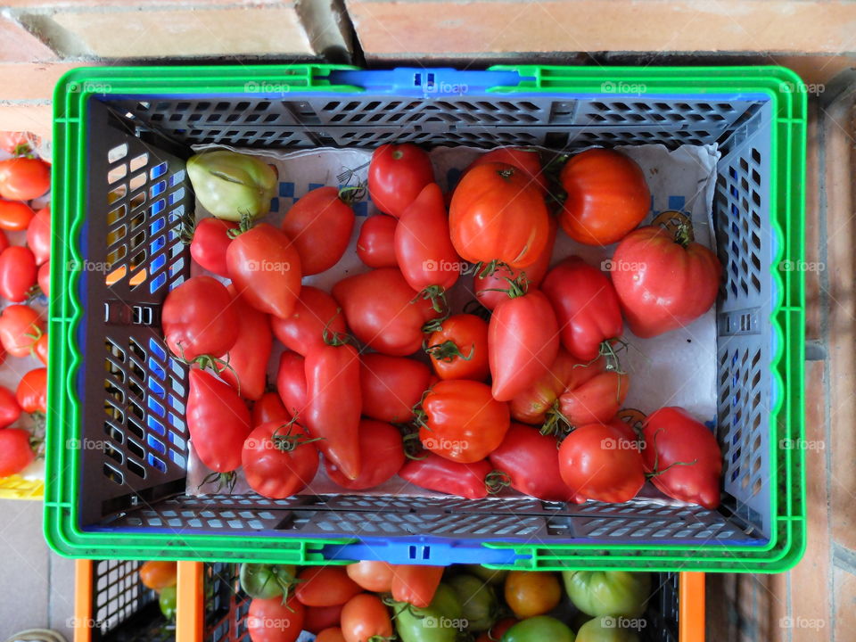 Red tomatoes