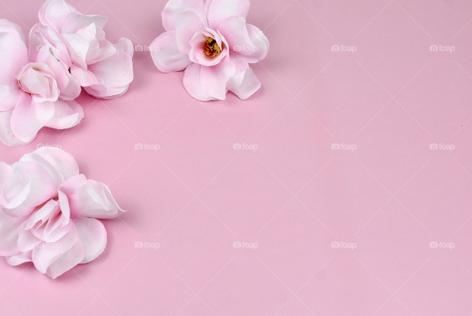 Flat lay pink flowers and background 