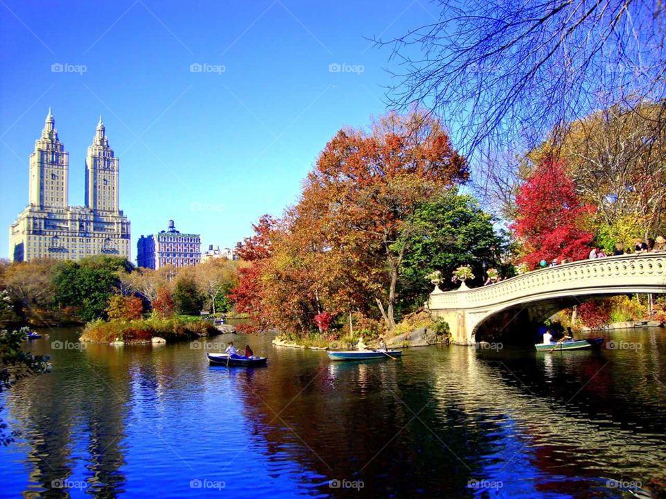 Fall in Central Park