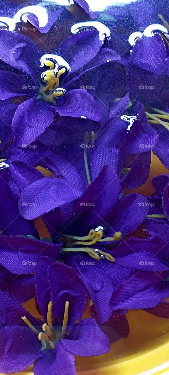 beautiful things always give me a smile that i always carry with me.