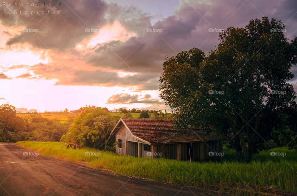 No Person, Barn, Tree, Landscape, Wood