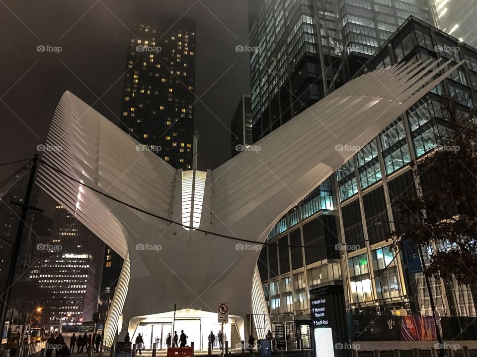 Manhattan, New York City, oculus, train station