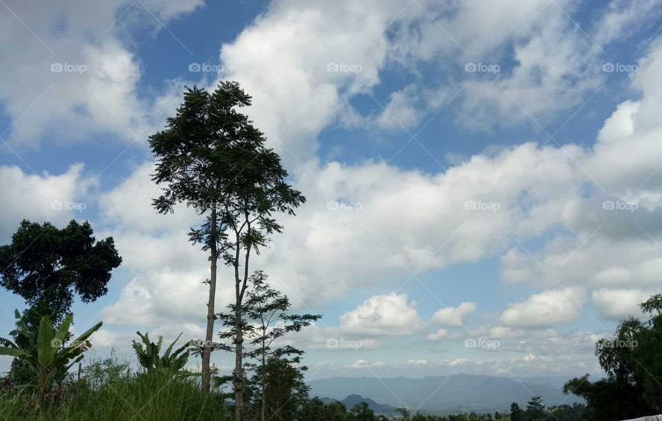 awan yang bergerombol dab menghiasi langit di indonesia ini