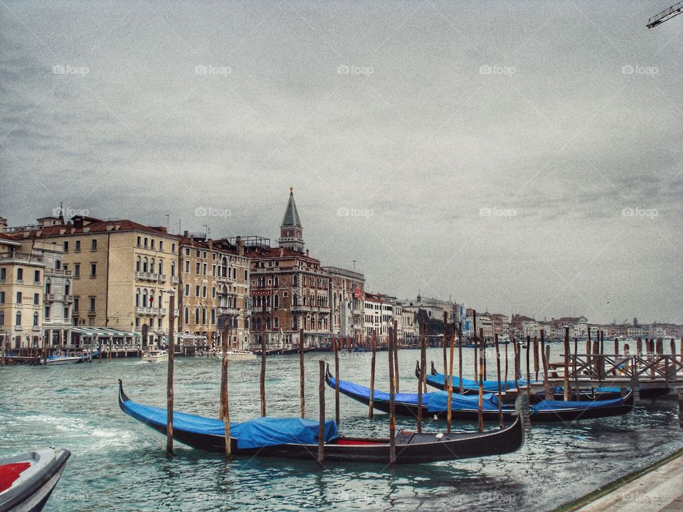 Venezia