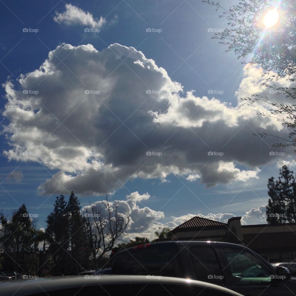 Lingering Storm Clouds

Published by:
HappyBrownMonkey 