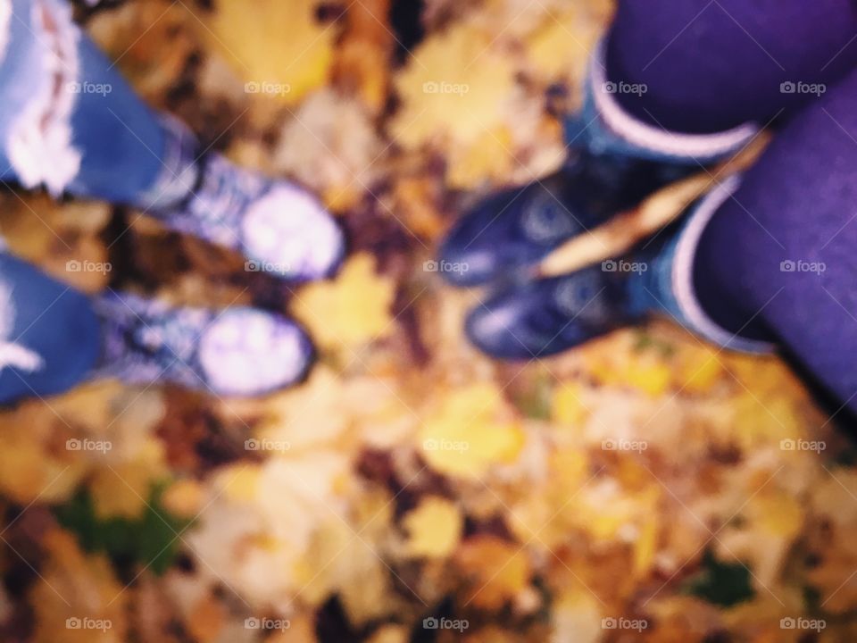 A blurry fall full of colors and friends!