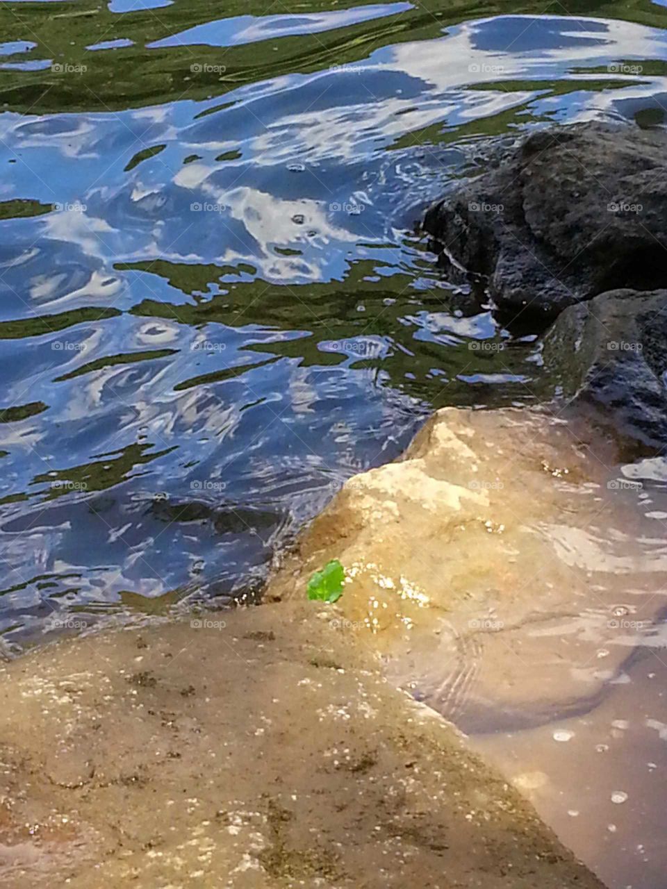 River Dance:  River water flowing around the river's edge, moving in and out of the sunlight.