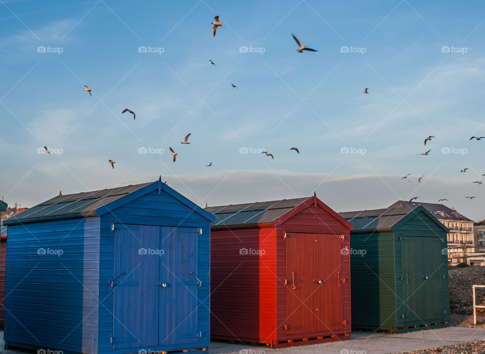 Seagulls fly above painted beach huts in the blue summer sky, along the UK coastline 