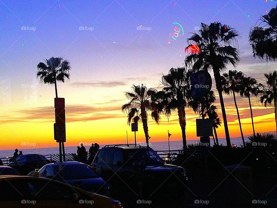 Palm trees and sunset