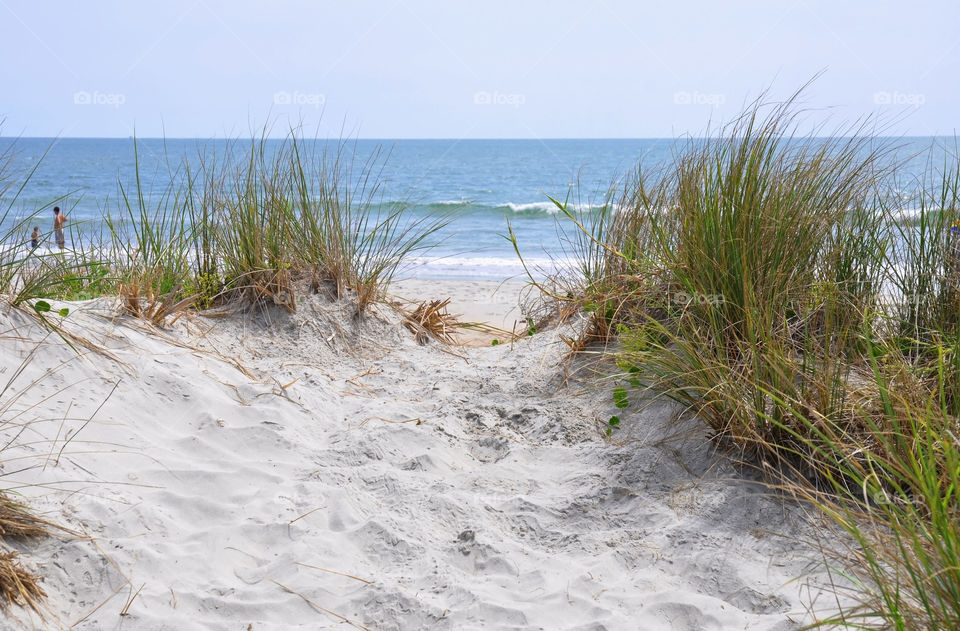 This way to the beach. Beach path. 