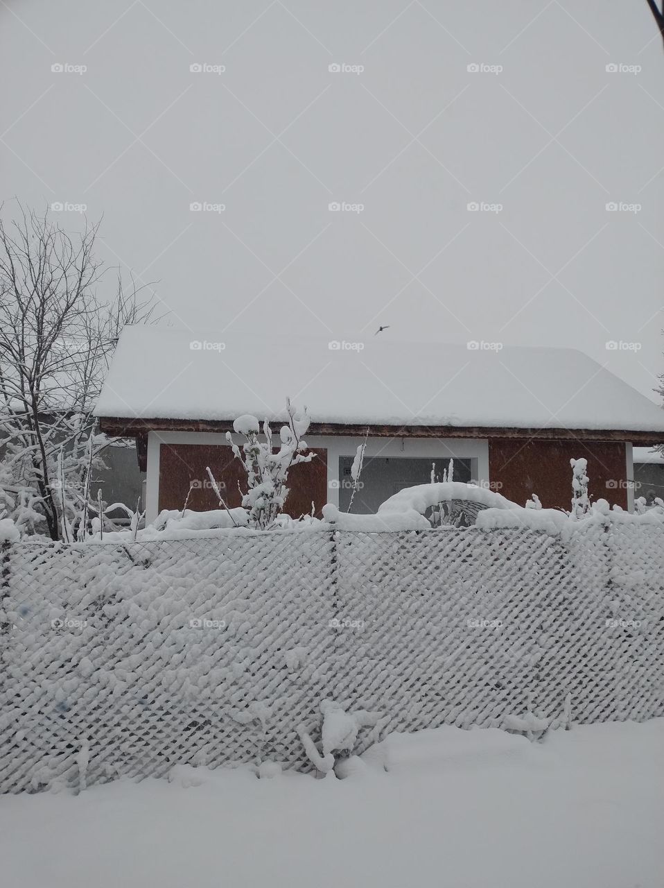 This is where i live in winter 🤩