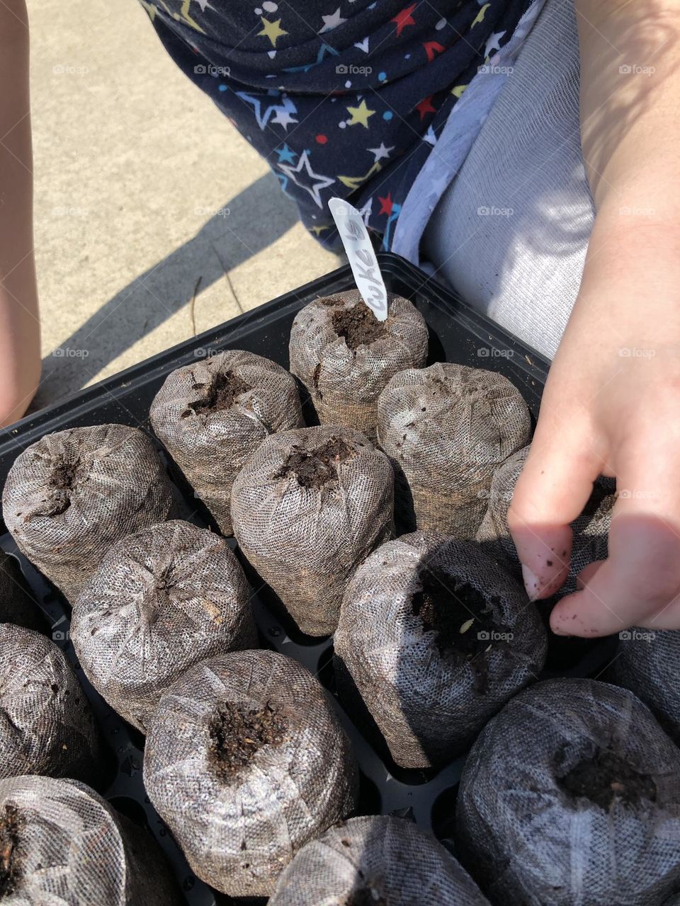 Gardening with the Sand Witch