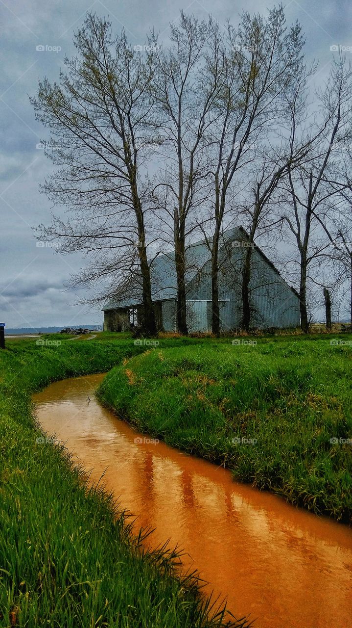 Skagit Valley Washington