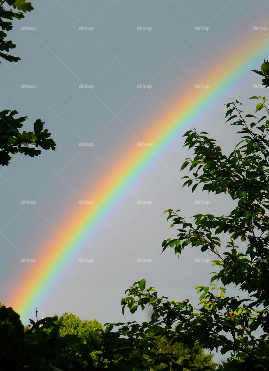 Rainbow in sky