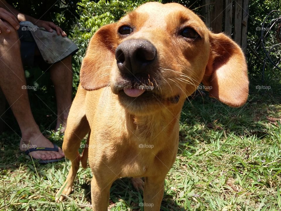 Yeah...I know! I've been there.