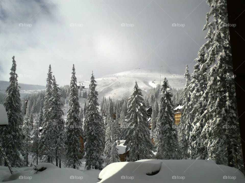 Winter Carpathian Mountains 