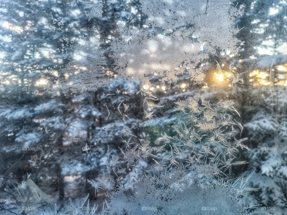 Frosted windows reflecting the sunset