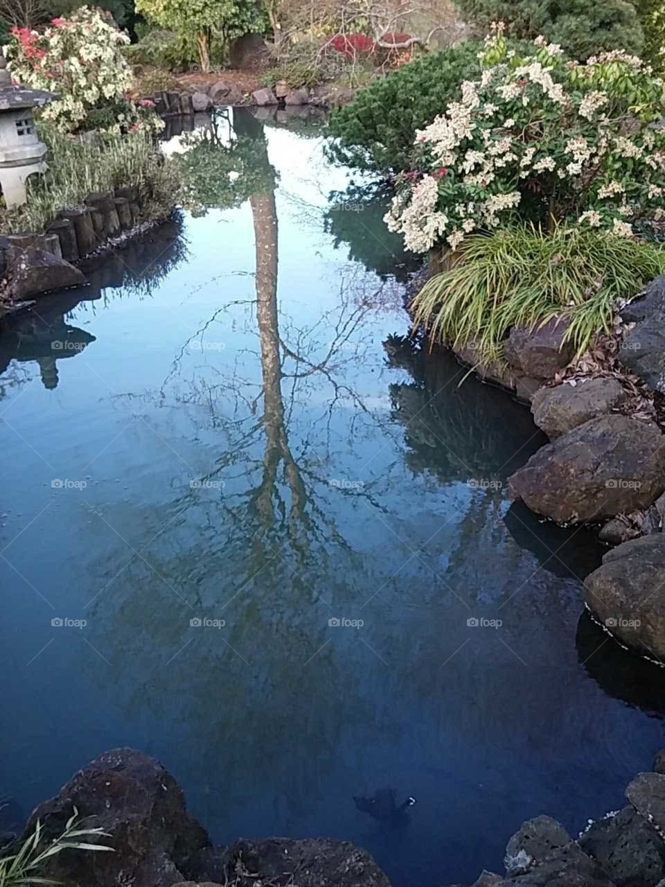 Lake Sacajaweah Longview Washington