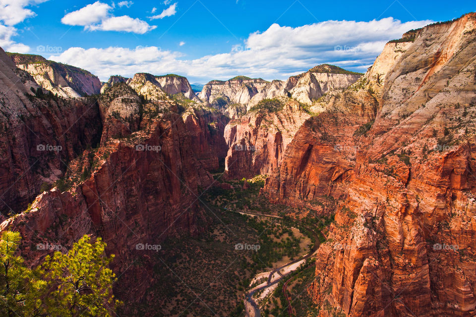 Beautiful landscape in Zion national park,USA