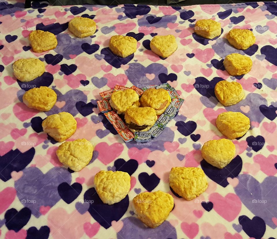 20 Biscuit Love