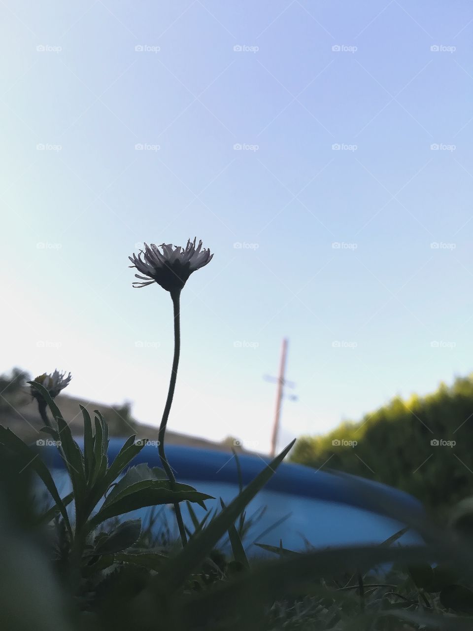 growing stronger by the day