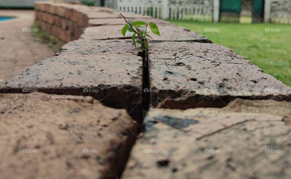 Bricks in a row