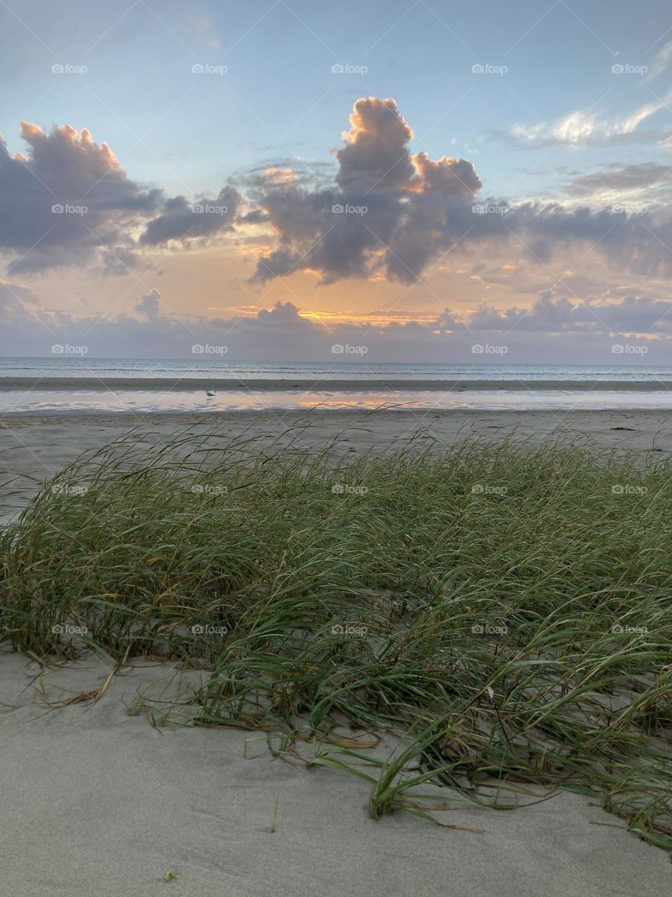 Cape Cod sunsets hit the spot