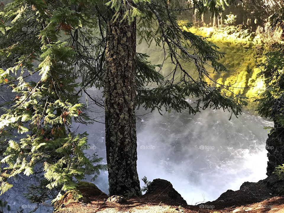 A view of the rushing waters of the McKenzie River in the mountains of Western Oregon close after its drop over Sahalie Falls on a sunny fall day.