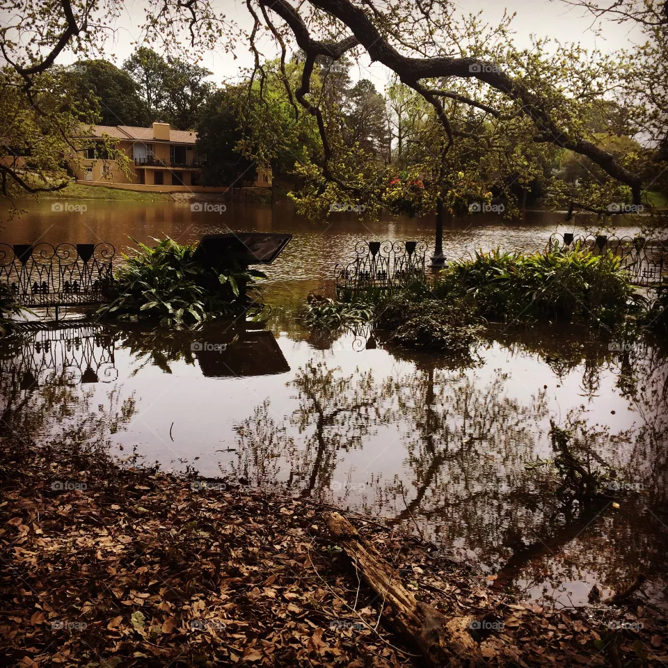 Water, Tree, River, Reflection, Nature