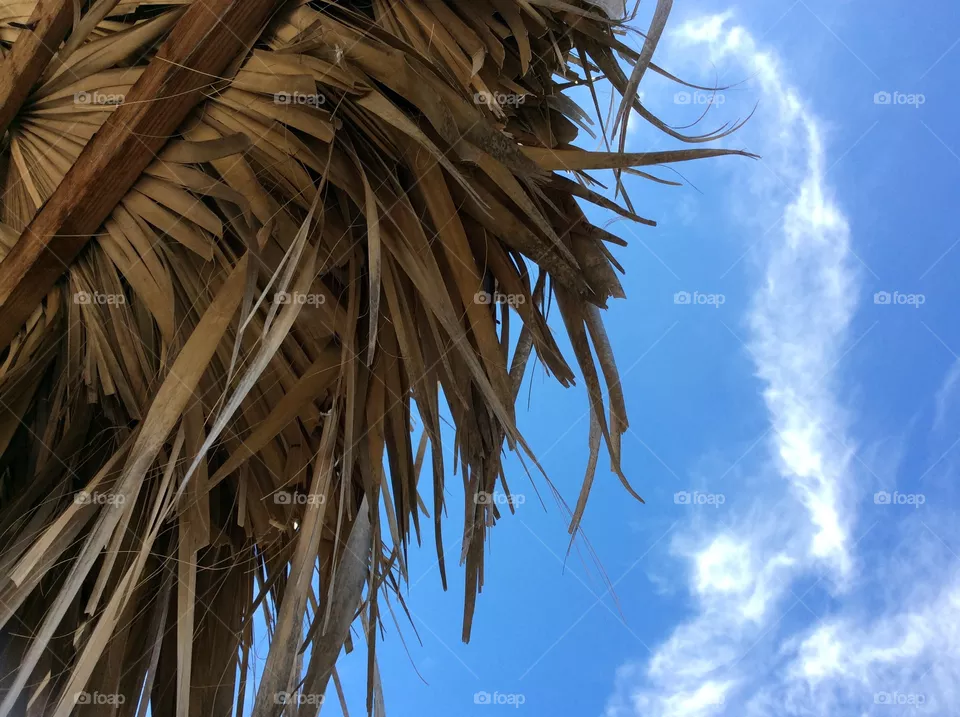 sky