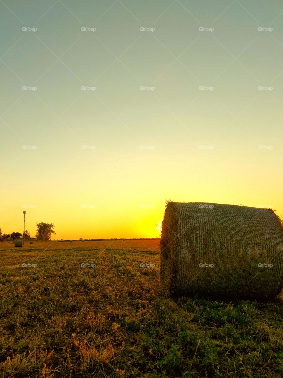 summer sunset on the hay field