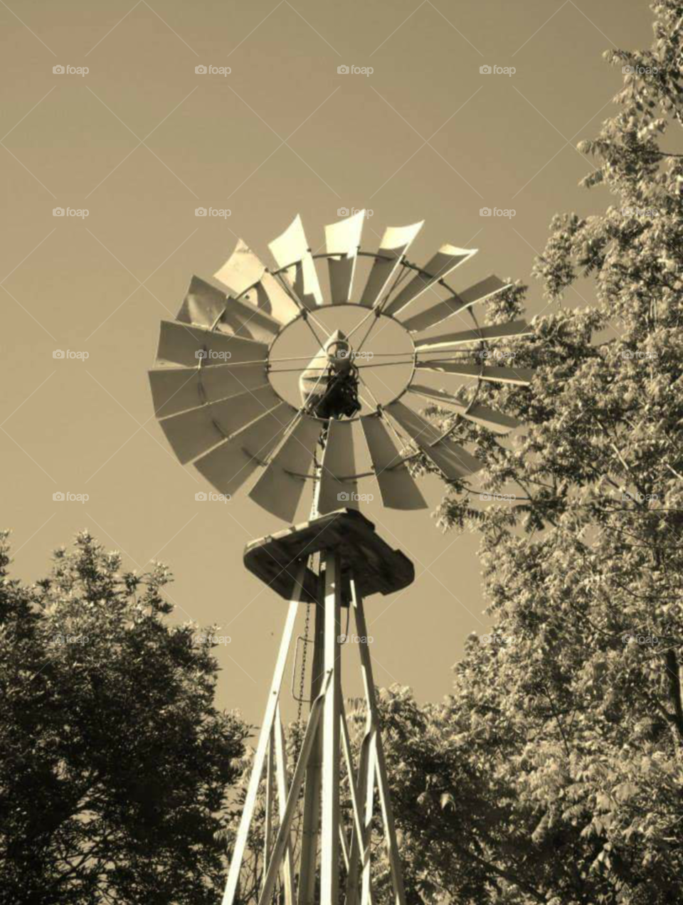 Windmill. Taken in Rogersville, TN.