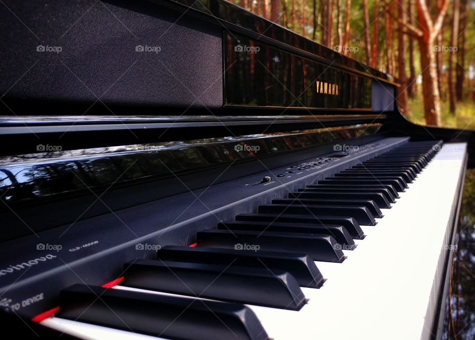Piano in the forrest