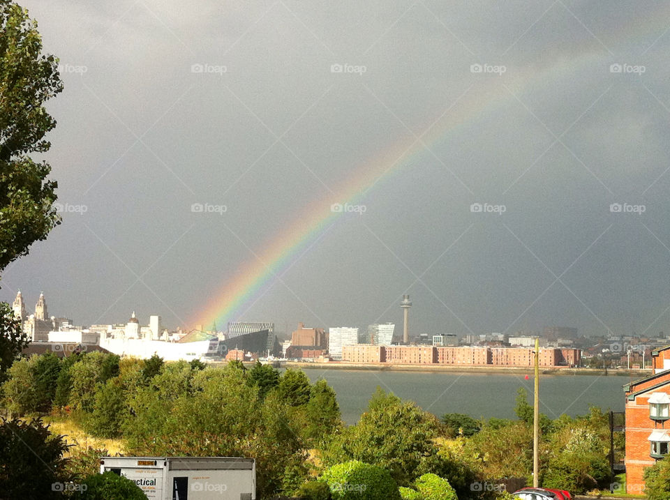 birds rainbow liver waterfront by somebodysson