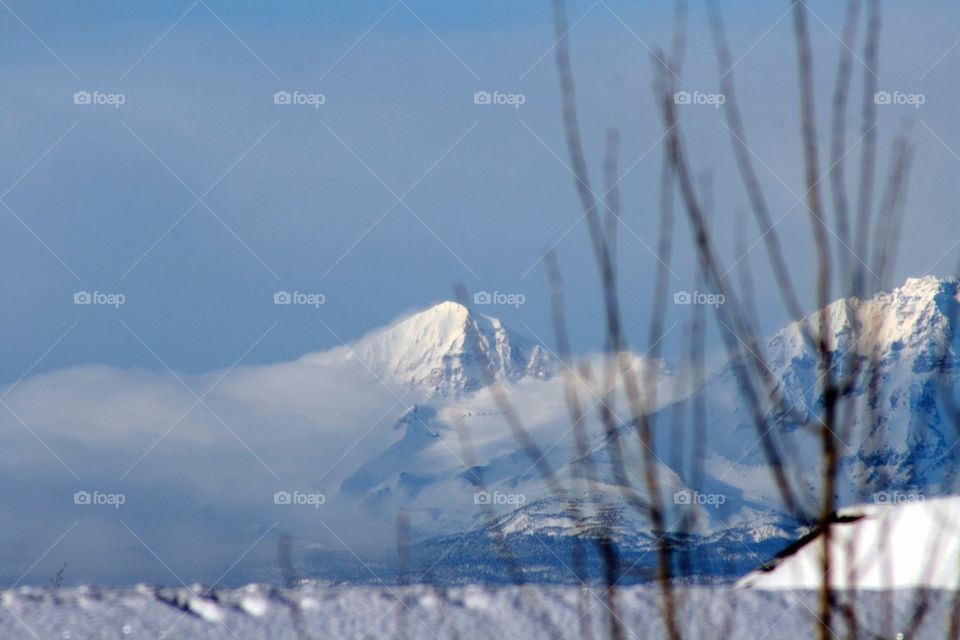 Mountain snow. Oregon