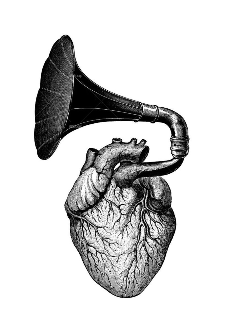 Música do coração 
