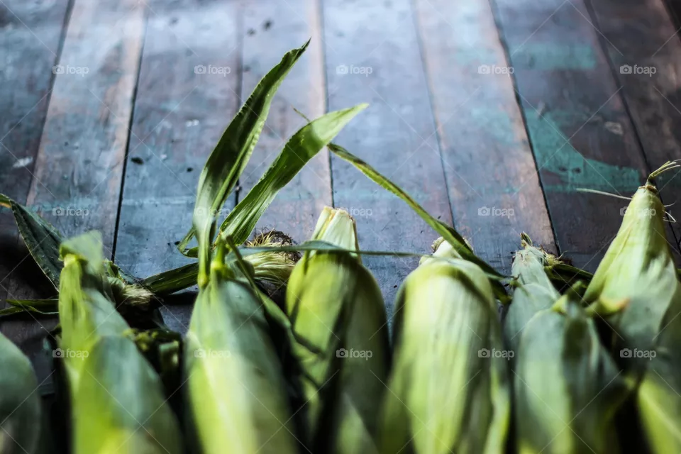 leaf