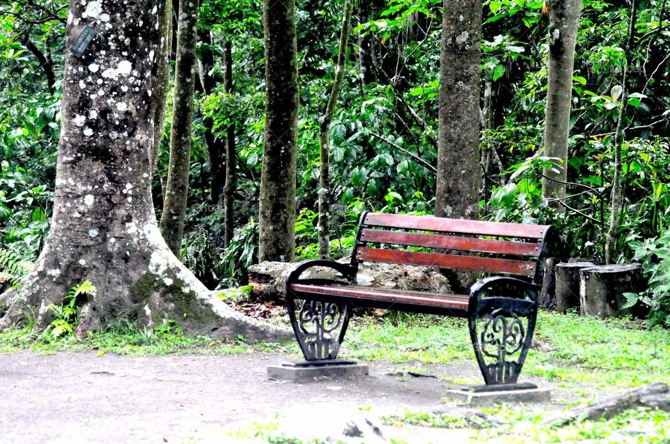 --Yogyakarta, Kaliurang: "Sit down please...."