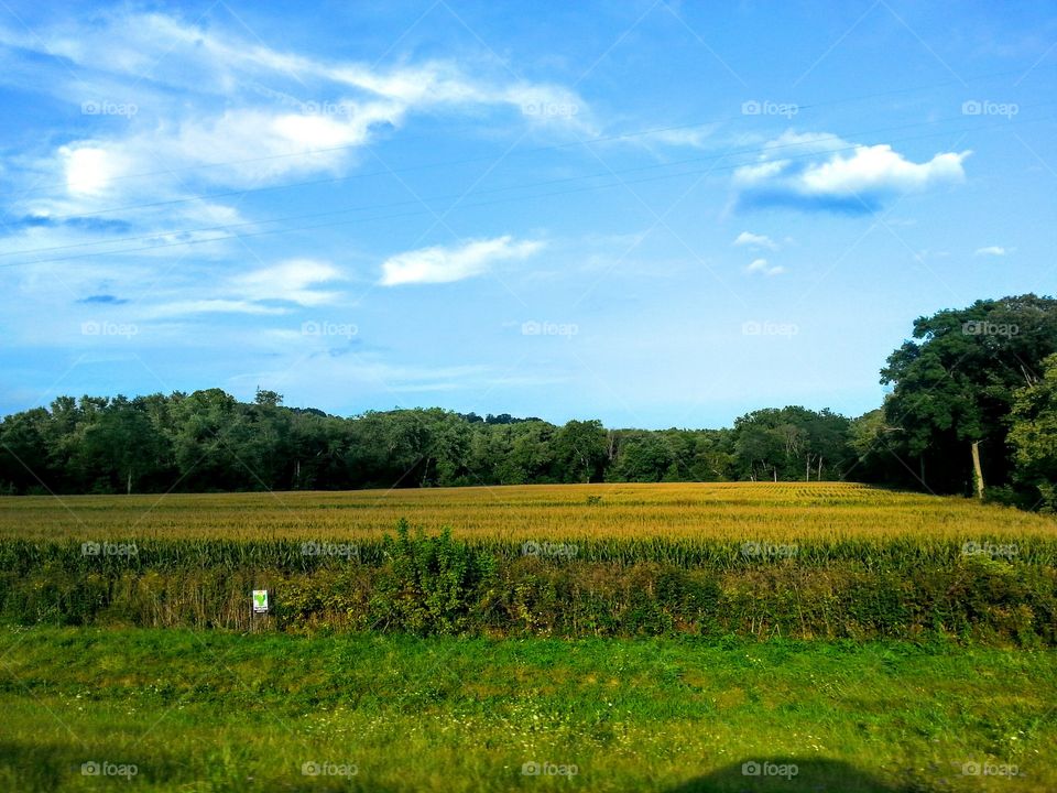 Farmland in Hocking County. Another field in Hocking County.