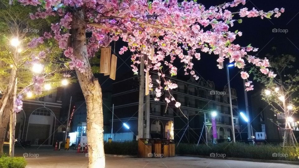 Sakura tree with neon lights