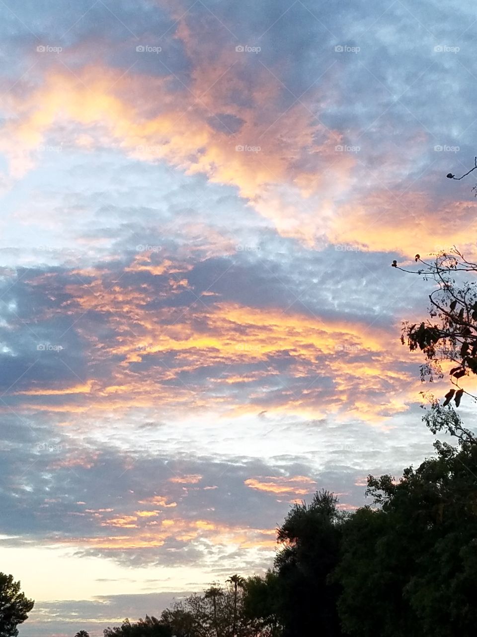 Sunset, Landscape, Nature, Sky, Sun