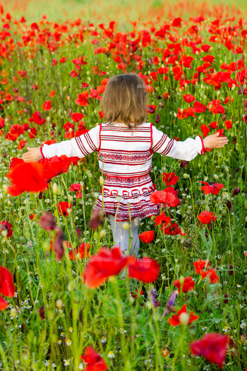 A little girl walks around the poppy field