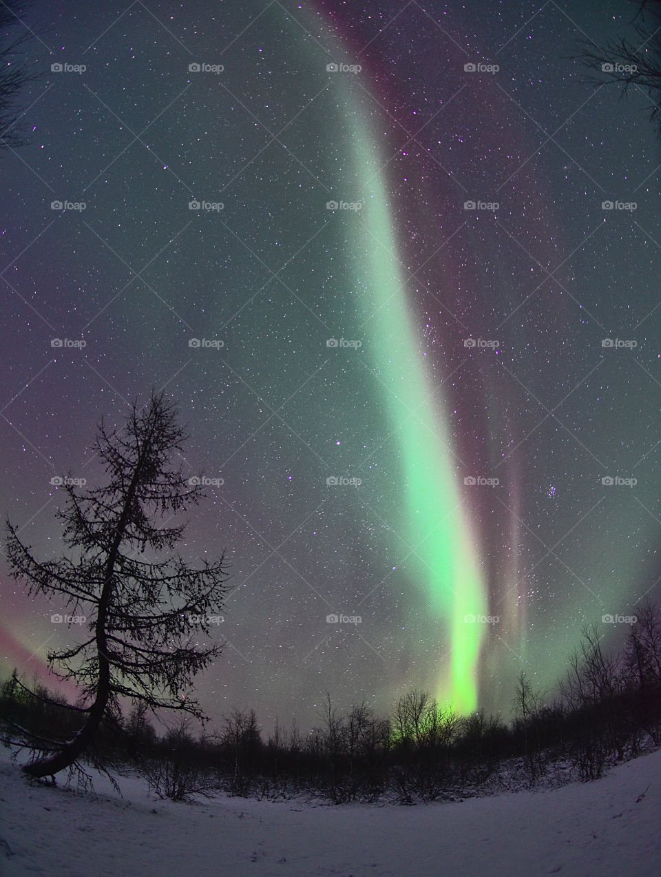 Night, aurora borealis, north, night north, polar region, night polar region, northern lights, stars, frost, frosty night, breath, cold, new year, Santa claus, northern santa claus, travel, night walk, shining sky, flashes, tundra, forest,