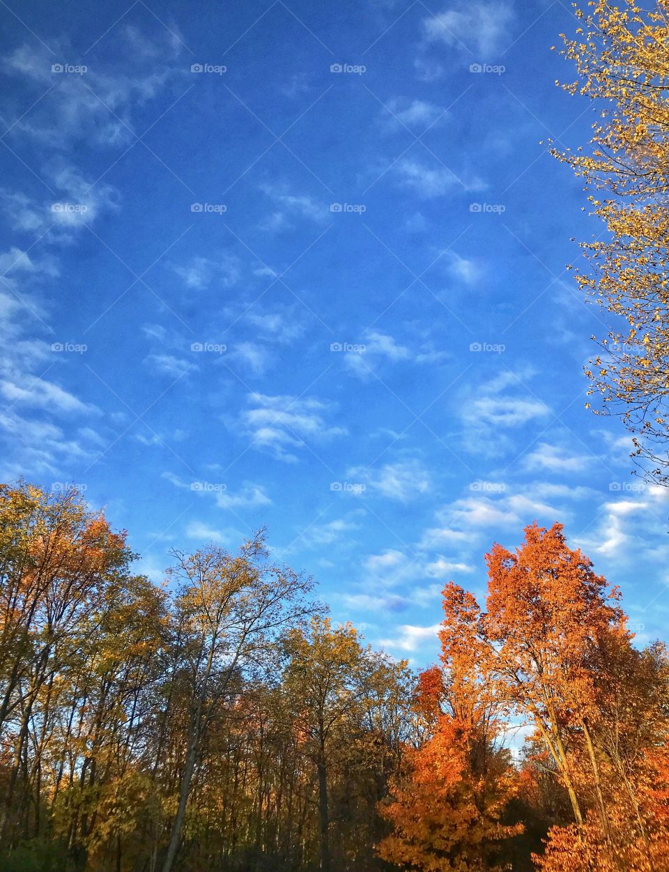 We all FALL down sometimes, but it’s how you get back up that matters. Even when we FALL, the sun still shines and the skies are still blue.